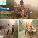 Jebol Asap Tebal, Camat dan Aparat Pimpin Pemadaman Karhutla Seluas 4 Hektare di Madara IMG-20261024-WA0089(2)